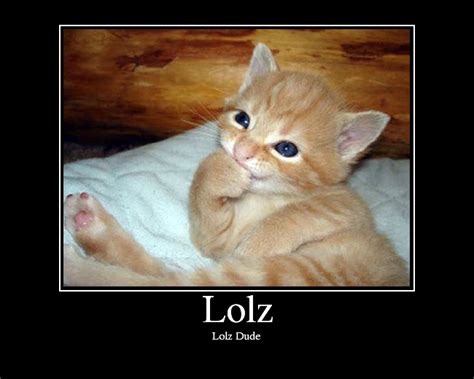 z-lolz|no lolz.